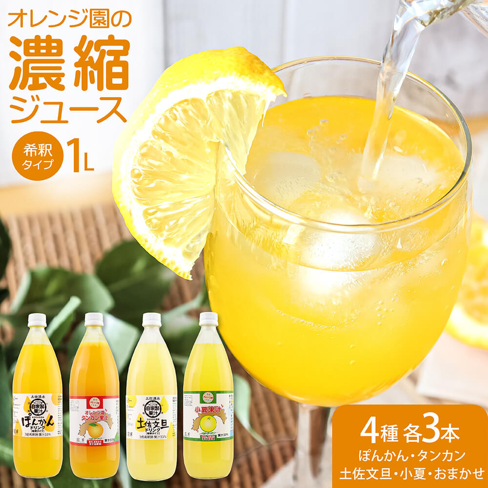 楽天市場】【ふるさと納税】オレンジ園の濃縮ジュース（ぽんかん