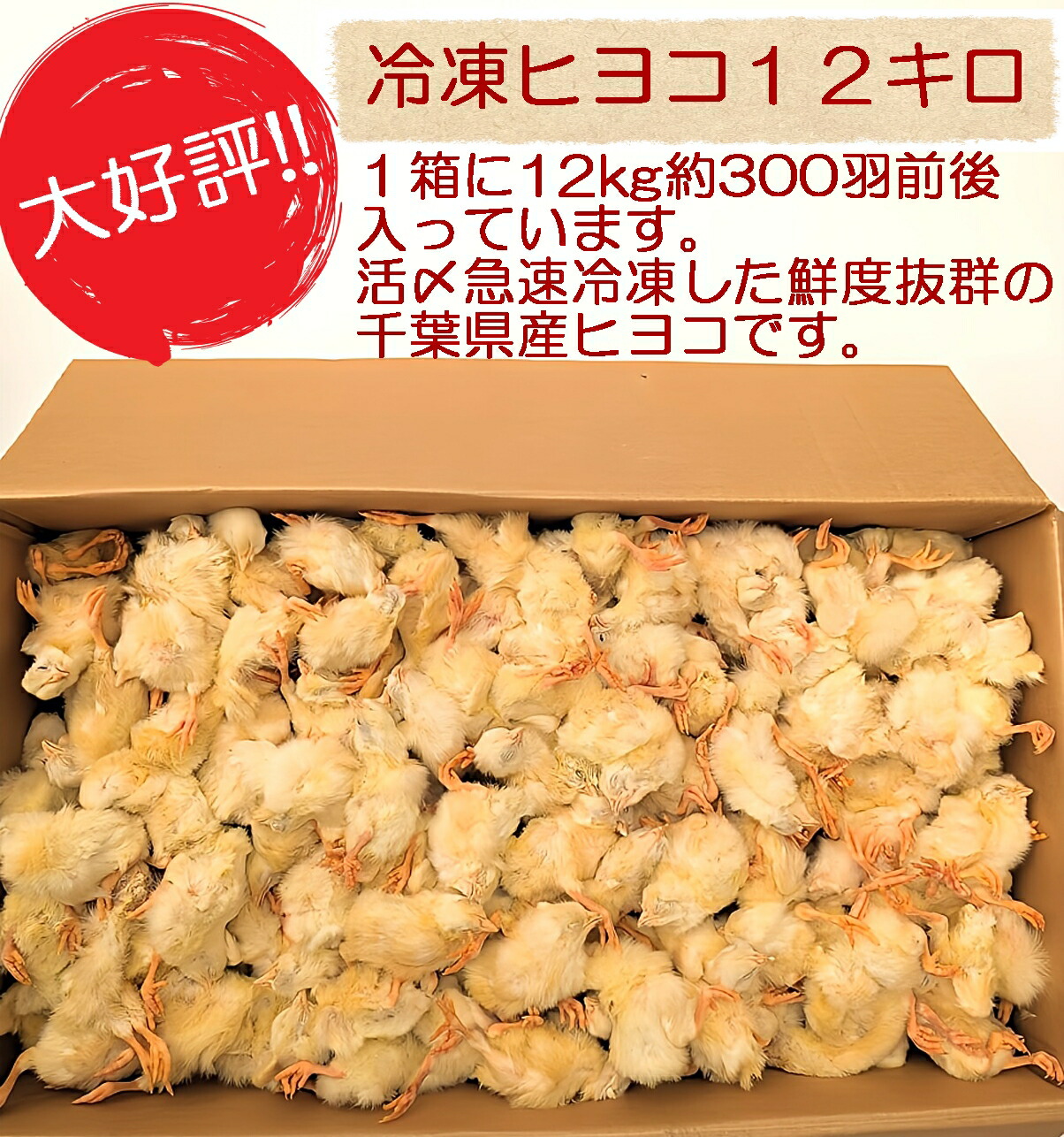 楽天市場】冷凍ヒヨコ12kg 約300羽分 フクロウ 鷹 ハヤブサ