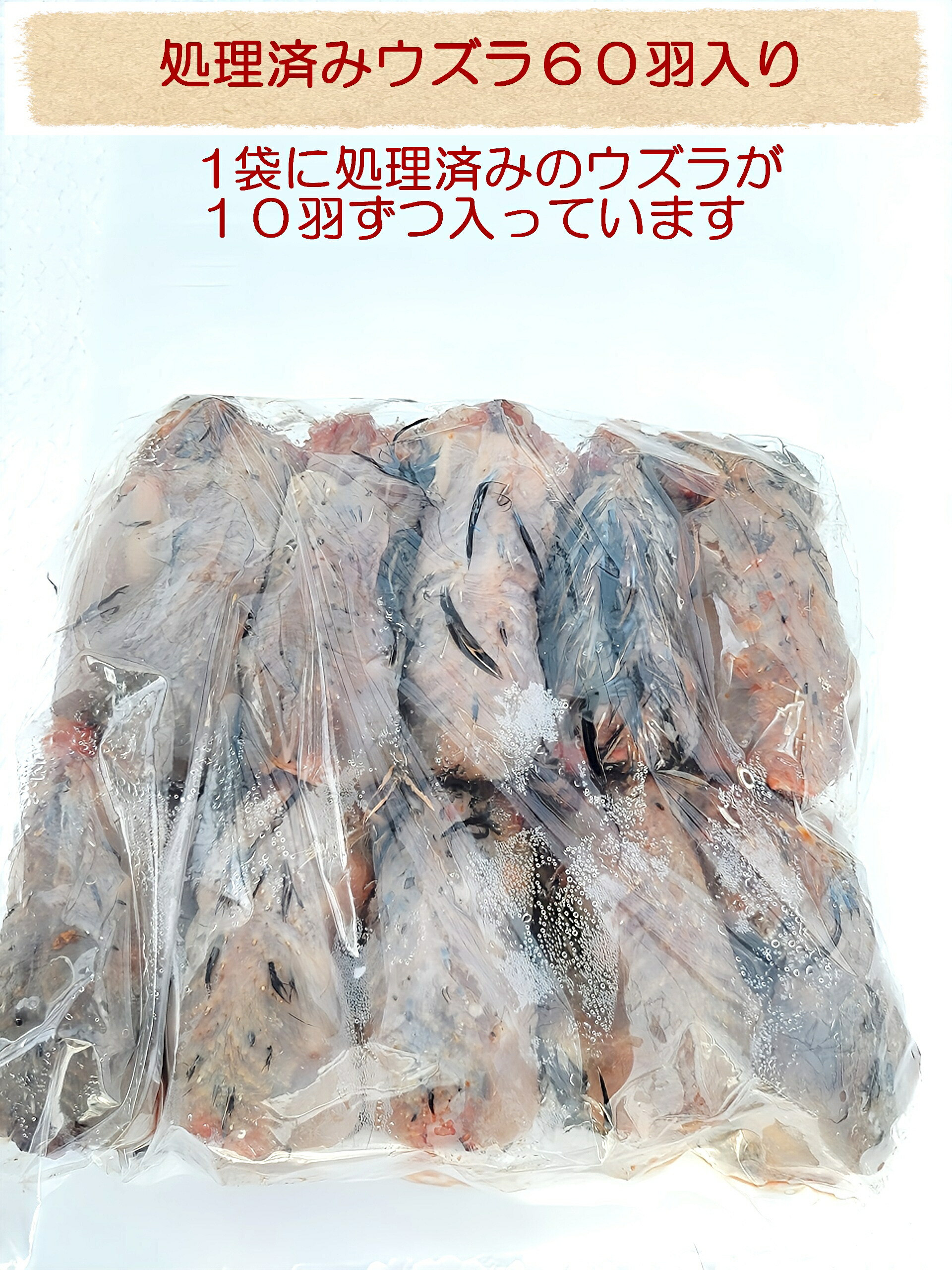 冷凍 親うずら 未処理100羽入 数量限定 残2個 ウズラ100羽餌用 頭付き