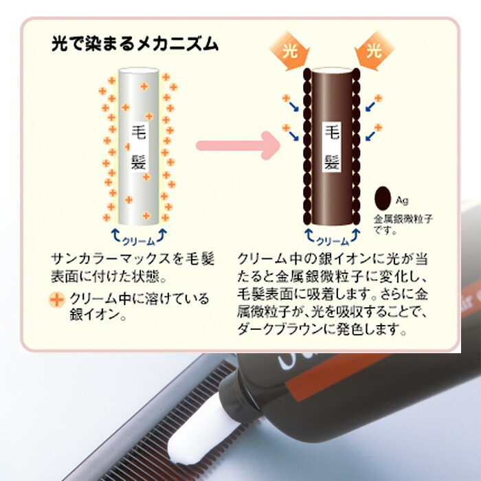 楽天市場】＼お得なクーポン配布中！／ サンカラーマックス 白髪染め