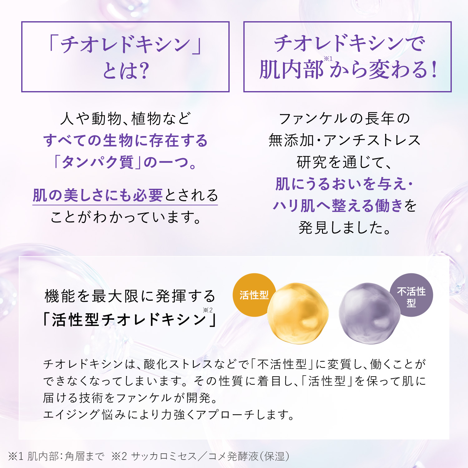 楽天市場】【ポイント5倍 3/4(水) 20:00〜3/11(水) 1:59まで】コア