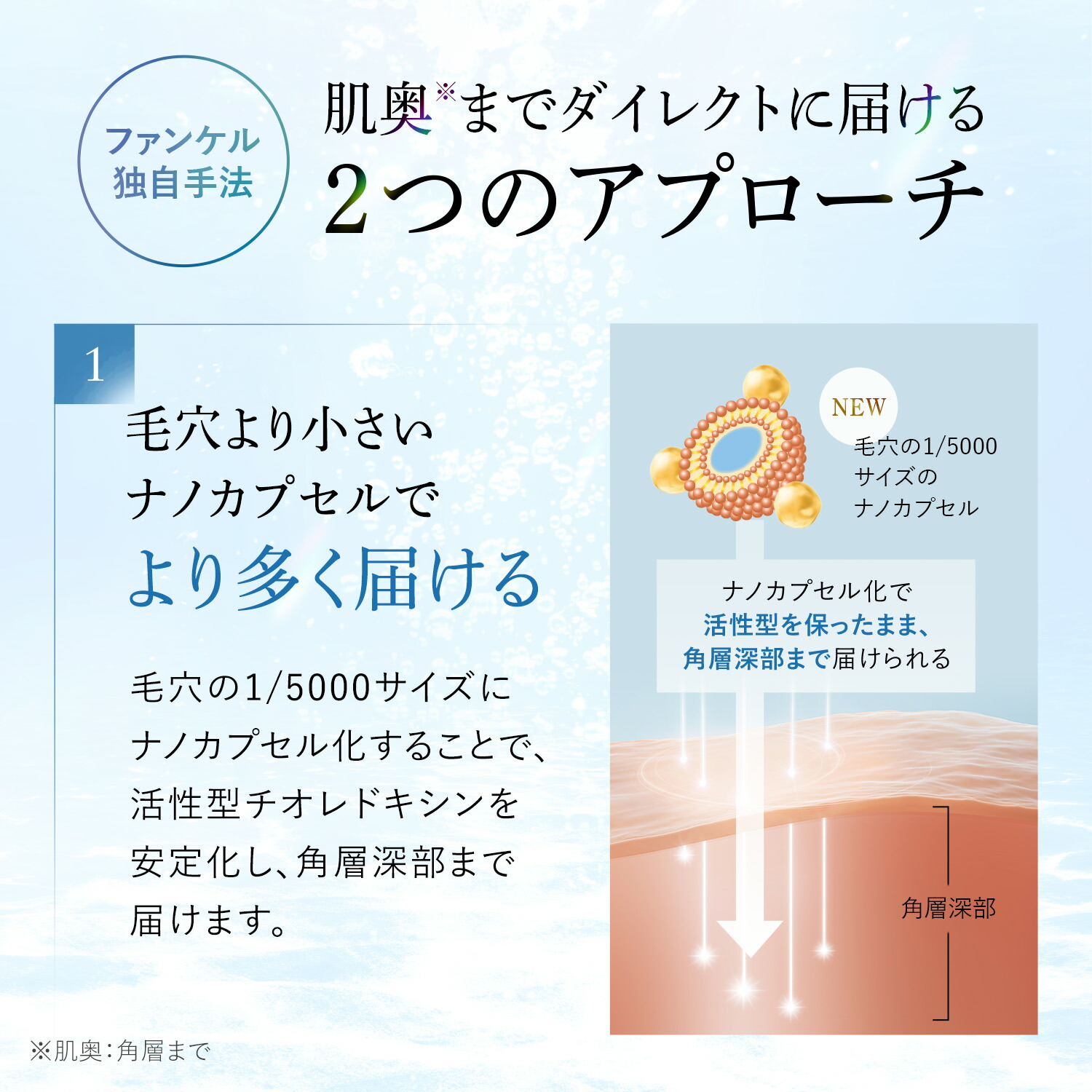 楽天市場】【ポイント5倍 3/4(水) 20:00〜3/11(水) 1:59まで】コア