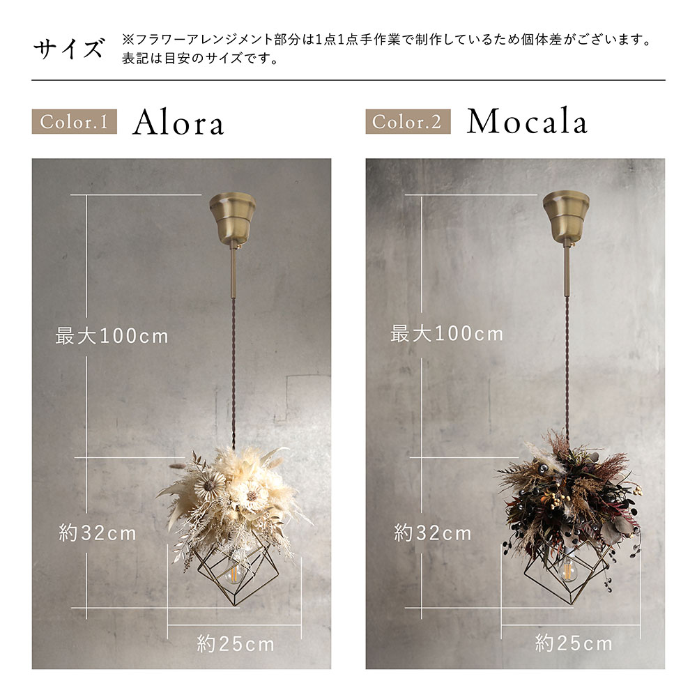 楽天市場】【3/4(水)20時開始 41,800円→37,620円】 ドライフラワー