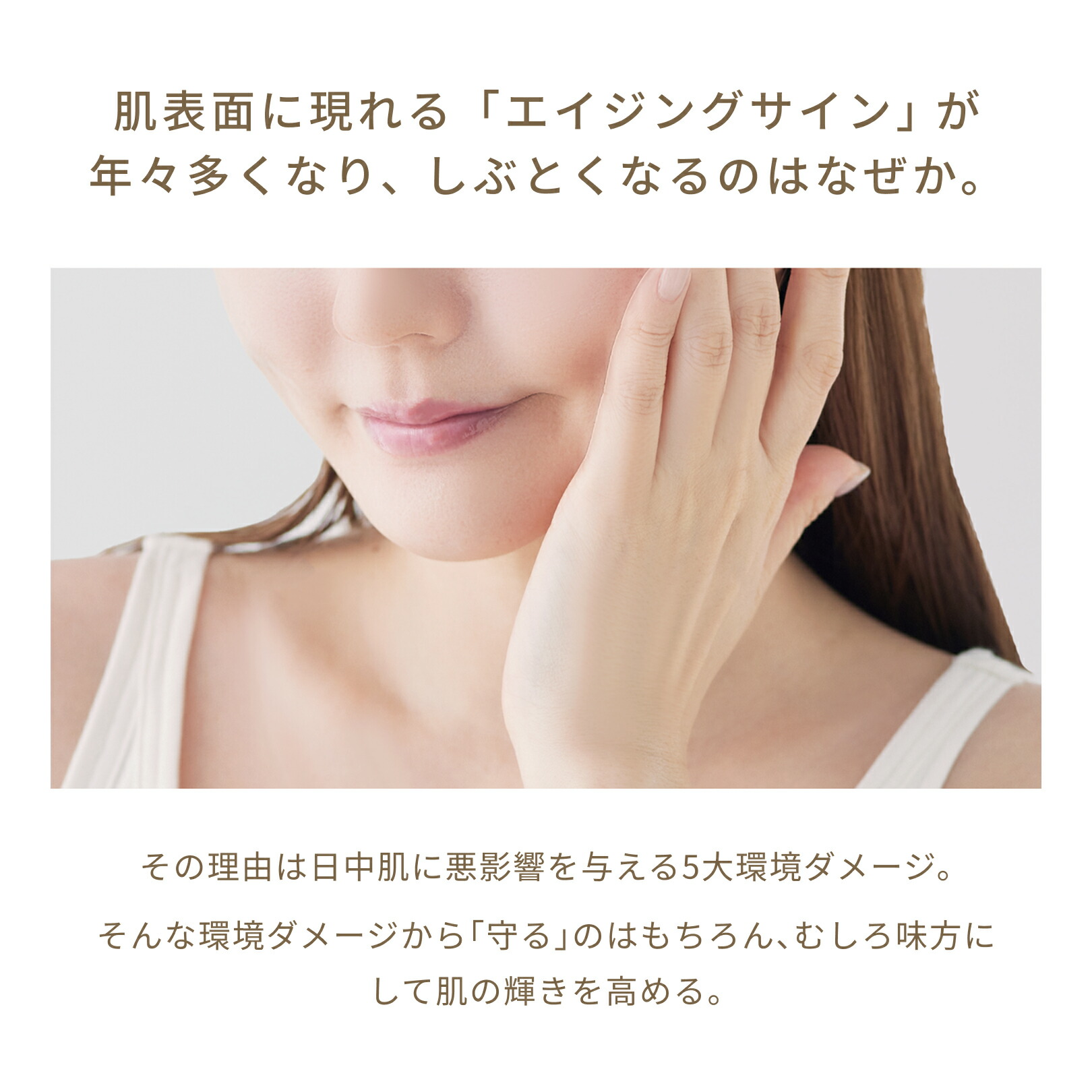 楽天市場】FATUITE公式 ブライテストラインフルセット ファースト