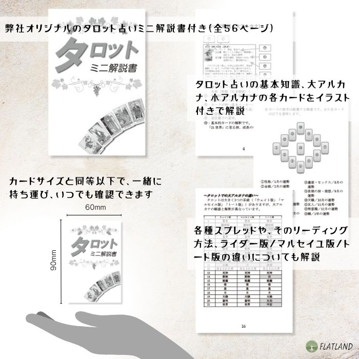 楽天市場】ダンテ タロット Dante Tarot タロット占い方 日本語解説書