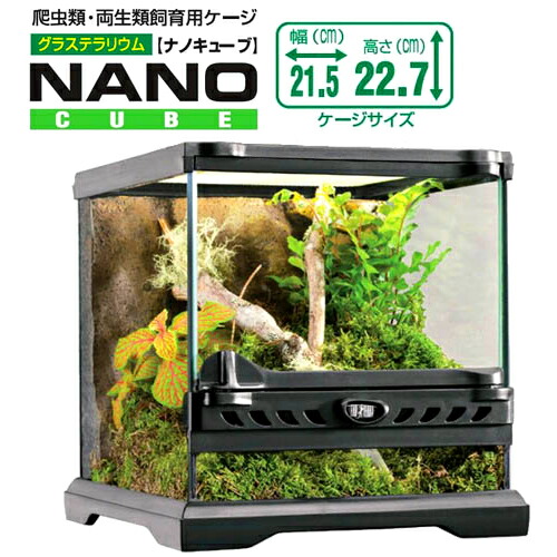 楽天市場】GEX EXO TERRA（エキゾテラ） グラステラリウム ナノ