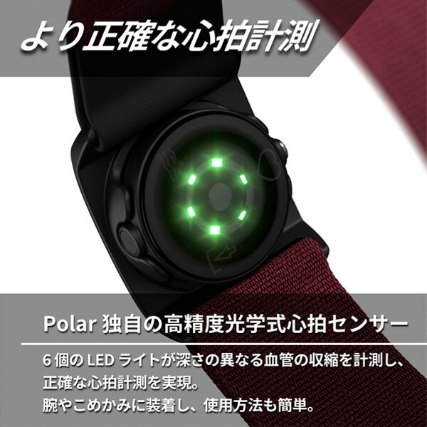 楽天市場】POLAR Verity Sense [国内正規品］ ポラール ダークレッド M
