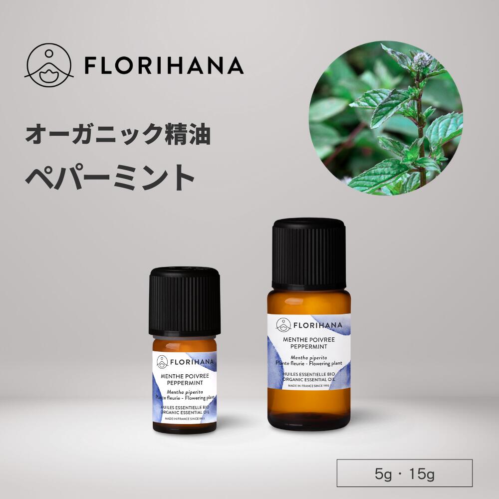 楽天市場】【公式】ラビンサラ オイル 精油 オーガニック 5g 15g