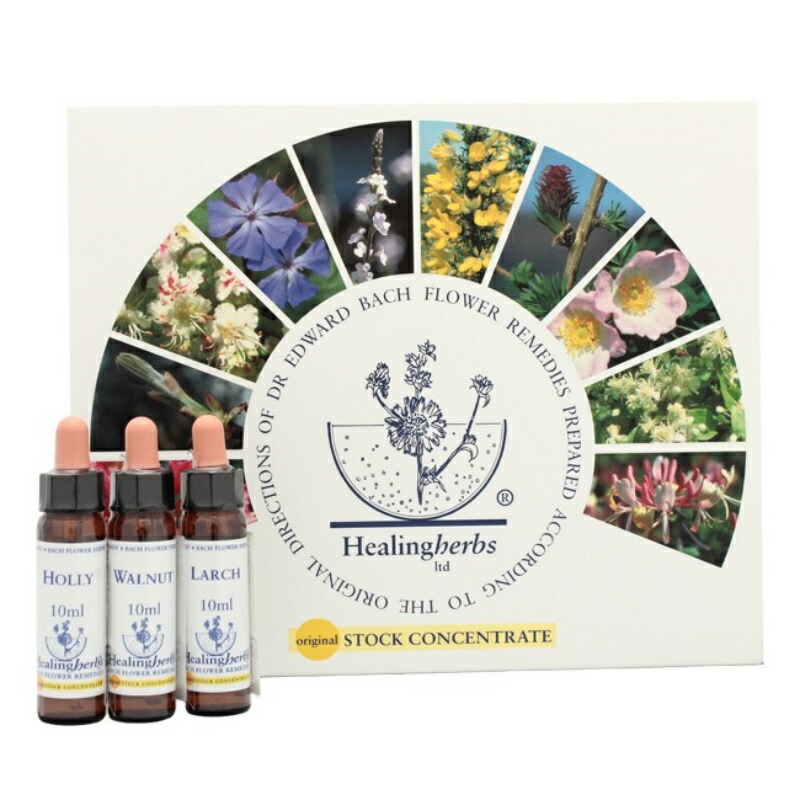 JK□フラワーレメディ10ミリを6本ヒーリングハーブス社