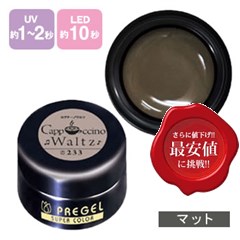 楽天市場】PREGEL プリジェル カラーEx ジェルネイル カラージェル 4g