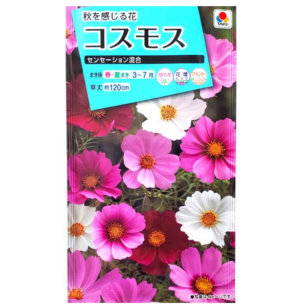 楽天市場】【タキイ種苗】コスモス センセーション混合（2ml）【定形