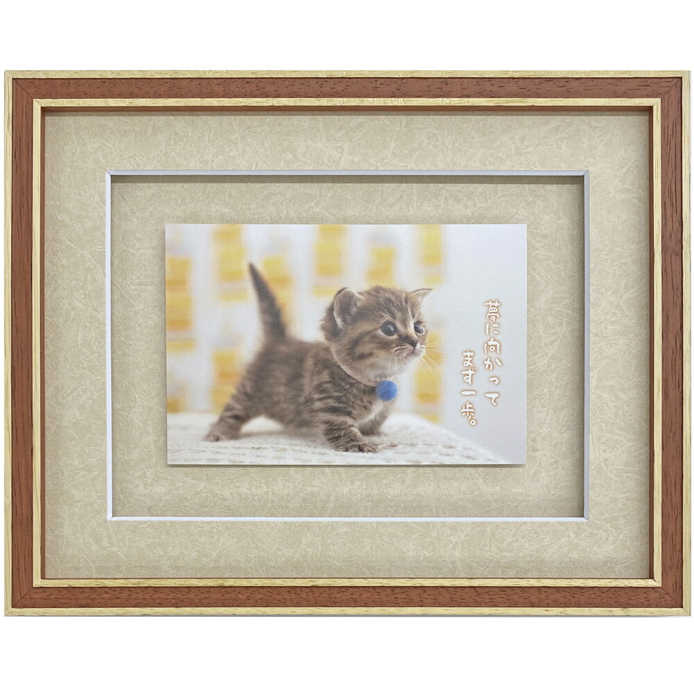 楽天市場】ポストカード専用額 7910 UVカット強化型アクリル付 /額内寸