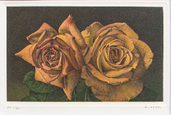 楽天市場】野田弘志 「 薔薇 」ー 版画集 目の記憶より ー 銅版画