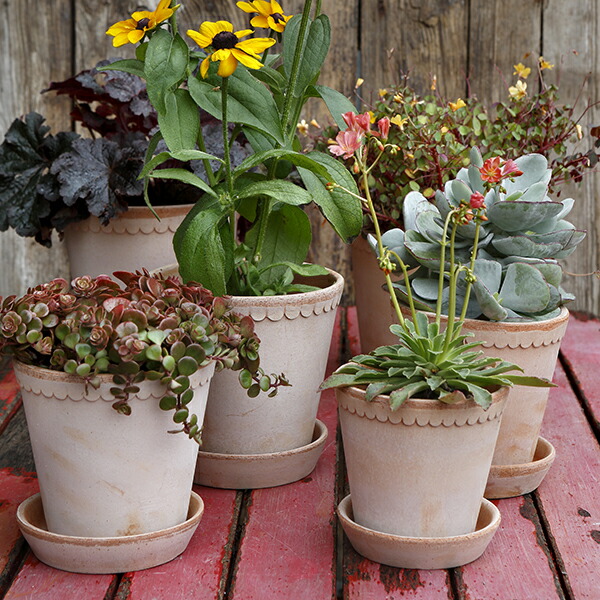 楽天市場】バーグスポッター ヘレナ ポット 皿付き 8.5 / 14 / 18