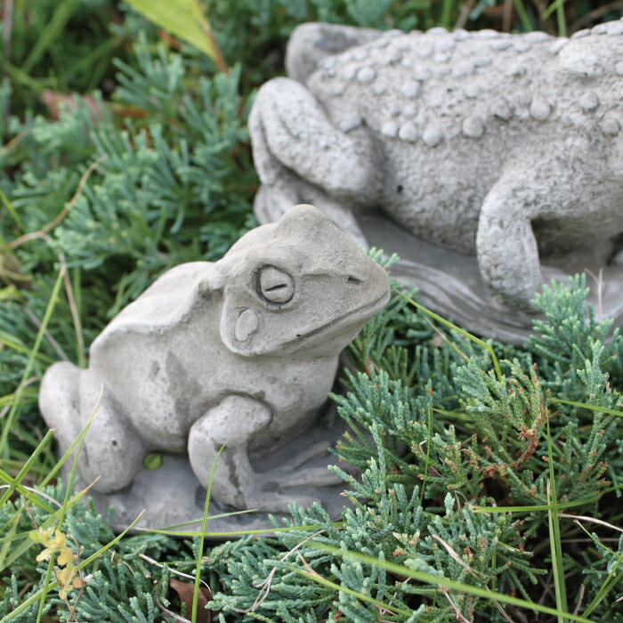 楽天市場】Hampshire Garden Craft ドラゴンストーン カエル SM34 FROG