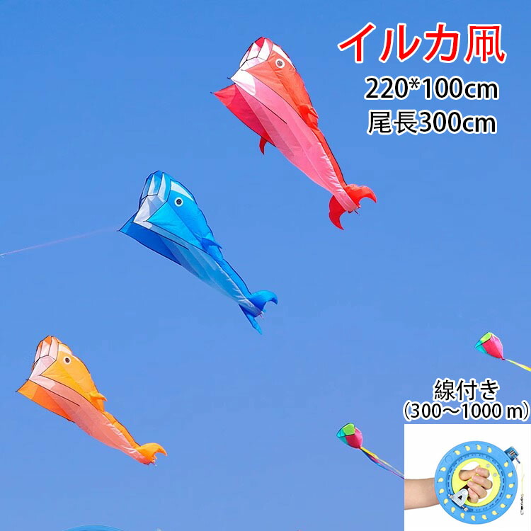 楽天市場】送料無料 凧 立体イルカ スカイカイト たこあげ たこ 軽量で