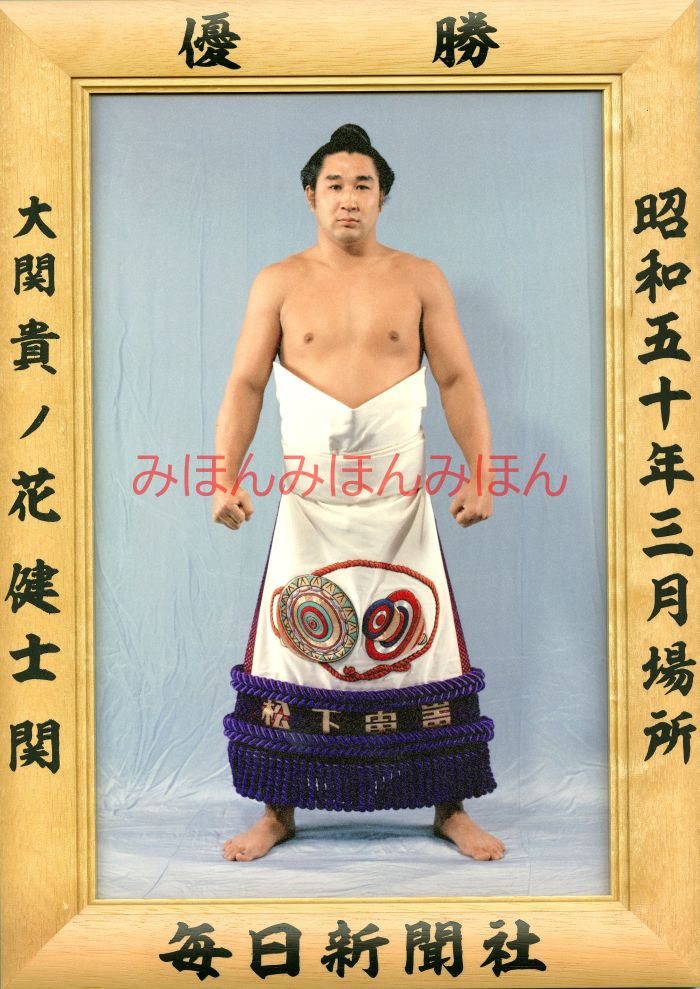 楽天市場】貴ノ花健士関 優勝ミニ額 大相撲ミニ額 大相撲優勝額 昭和