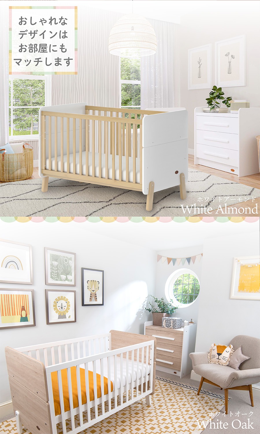 楽天市場】【到着後レビュー記載で次回使えるクーポンも貰える