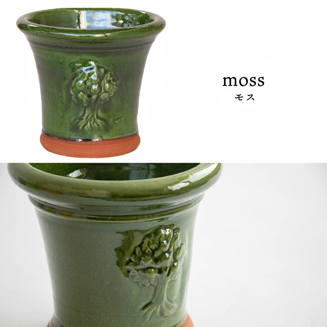 楽天市場】Whichford ウィッチフォード 植木鉢 塗り鉢 RHS ウィズリー