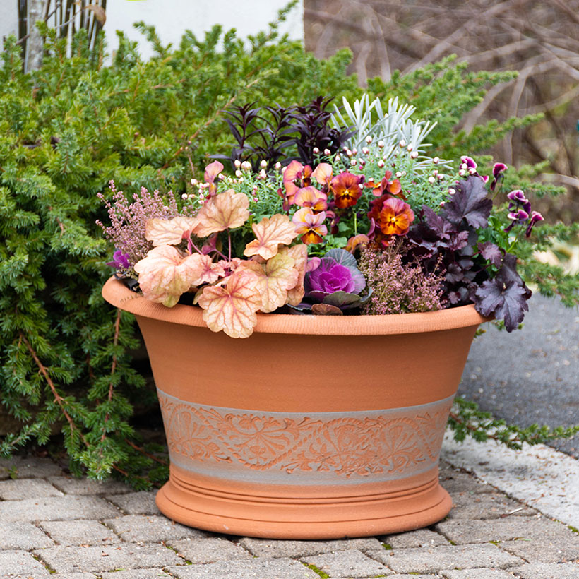 楽天市場】Whichford ウィッチフォード 植木鉢 大型 Honeysuckle