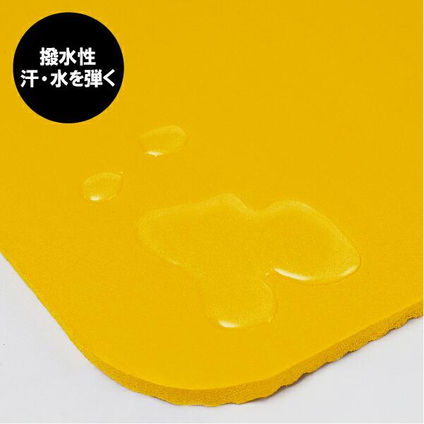 楽天市場】ゴールドジム(GOLD`S GYM) トレーニングマット YW-1〈送料