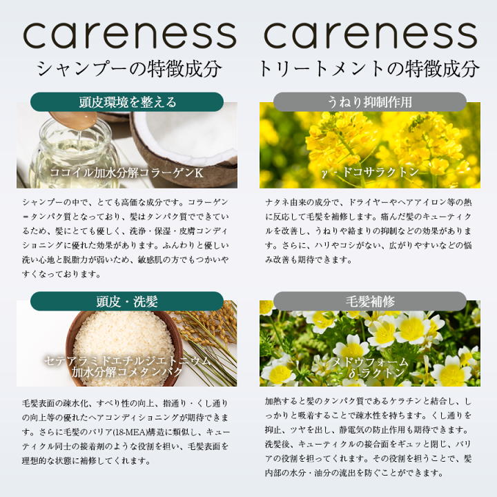 楽天市場】【20%OFF 特別価格】4日20時スタート☆【定期便初回20%OFF