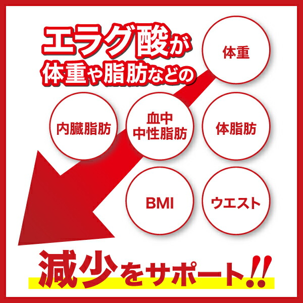 楽天市場】ダイエットサプリ 肥満気味の方の脂肪減少をサポートする
