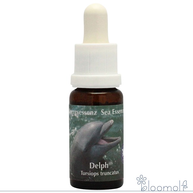 fphi11002.jpg?fitin=272:272