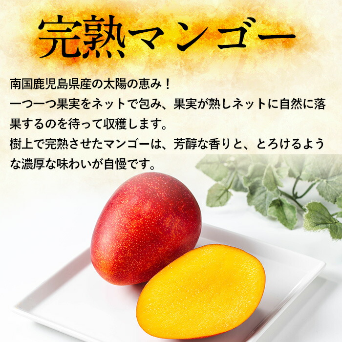 楽天市場】【ふるさと納税】《高評価☆4.94獲得》＜先行予約・数量限定