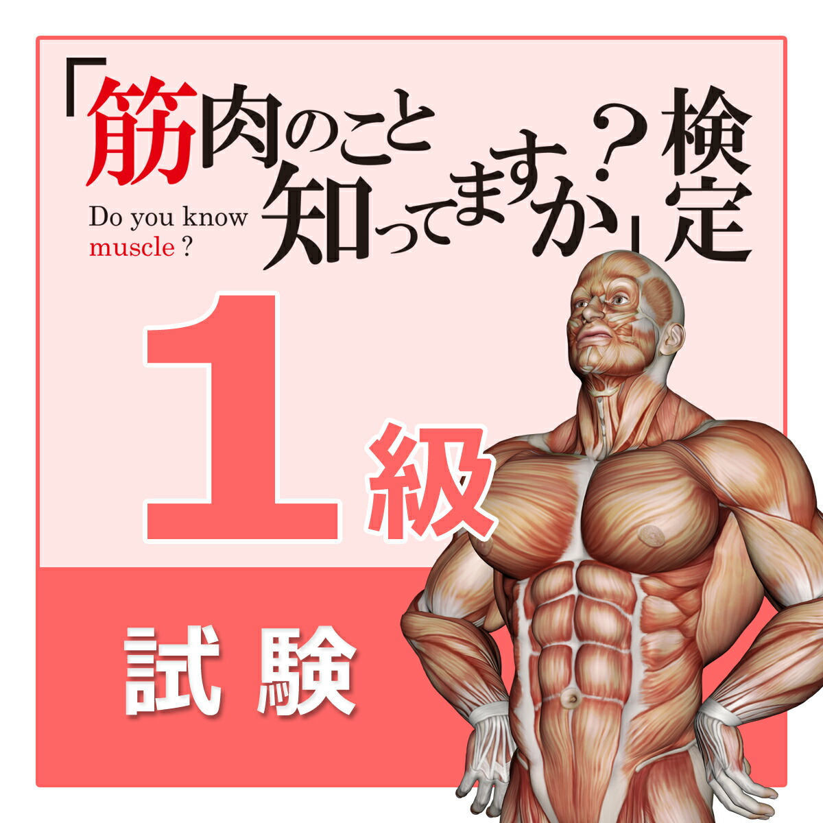 item_kk01_2505_0.jpg?fitin=272:272