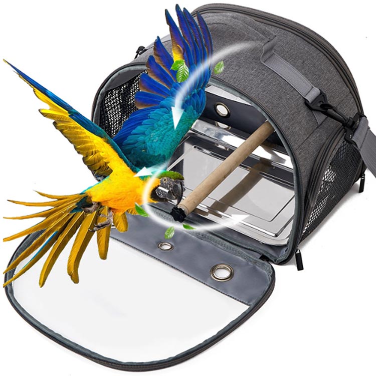 楽天市場】 透明 小鳥 お出かけ キャリー ケージ 鳥 持ち運び インコ
