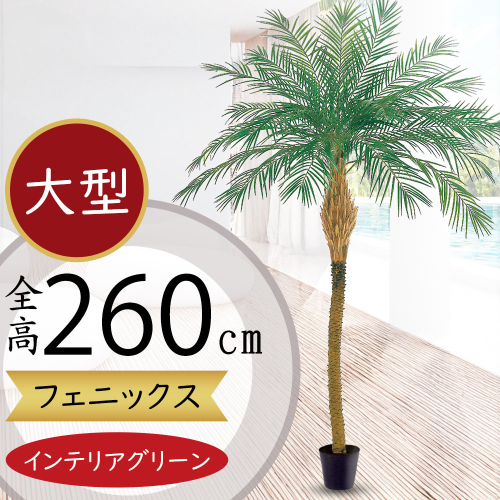 観葉植物 人工観葉植物 フェニックス」の人気商品一覧 | 安い商品を