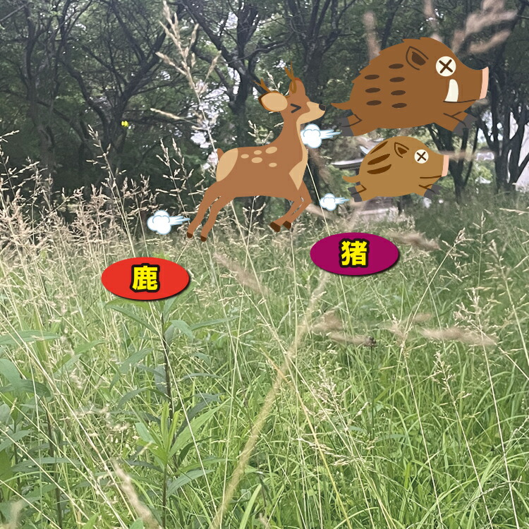 楽天市場】【楽天1位】 害獣駆除 忌避剤 イノシシ 駆除 [ 国産ヒトデ