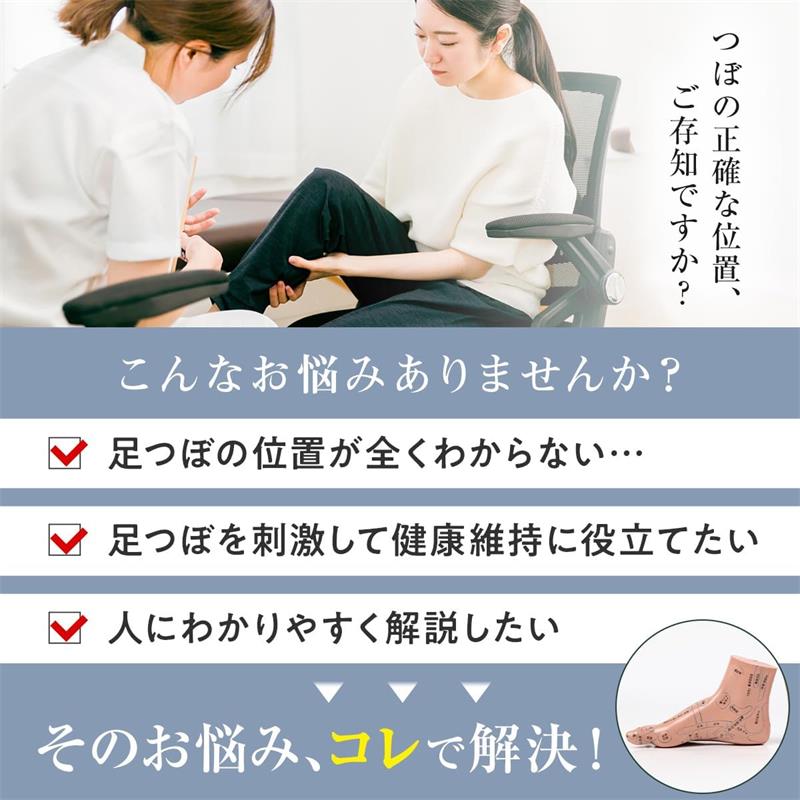 楽天市場】足つぼ 模型 【足つぼマッサージ 体系的に覚える】練習 図解