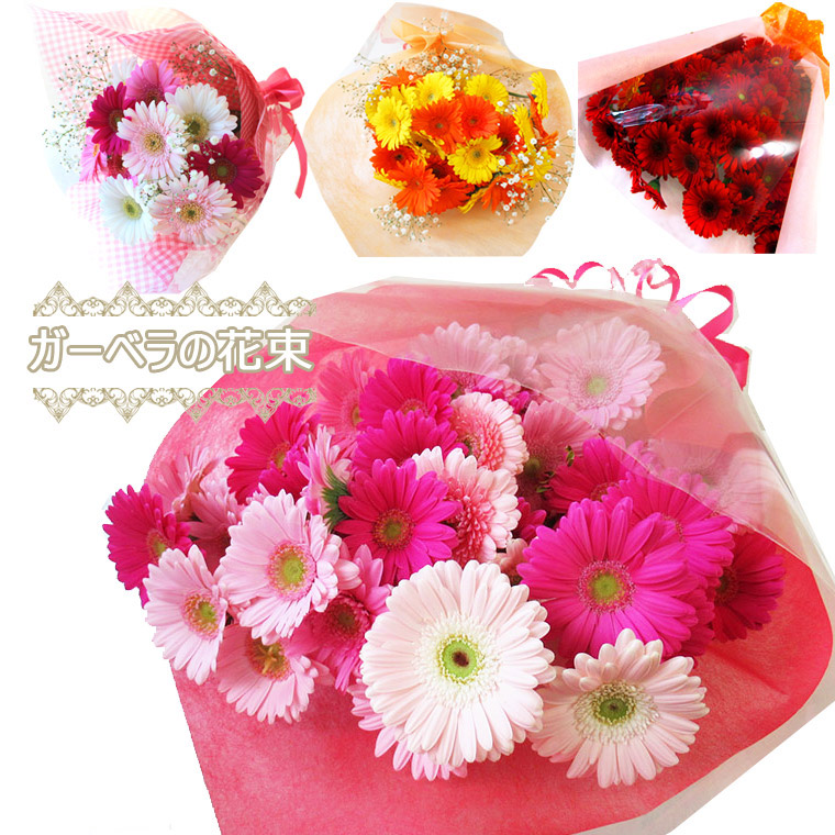 楽天市場】【 生花 】【 産地直送 】カラーと本数が選べる ガーベラ