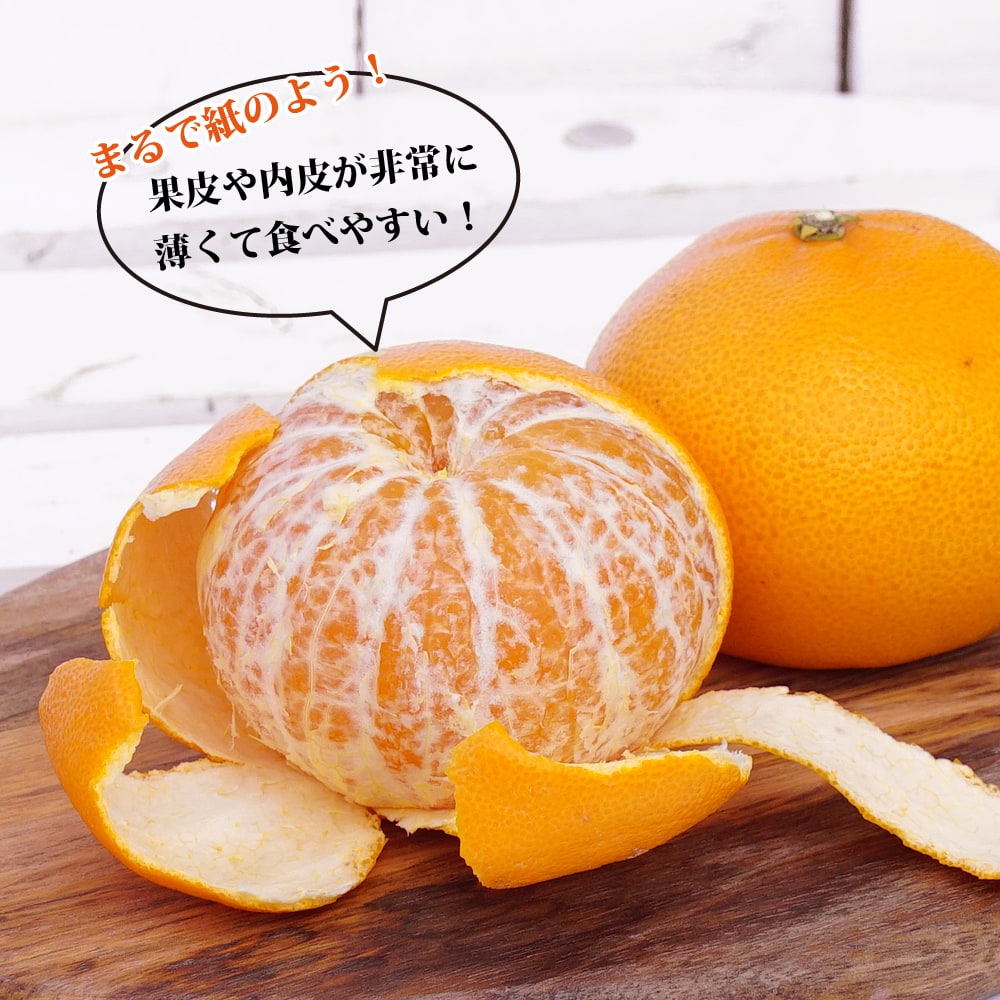 楽天市場】【せとか】 みかん 3年生接木大苗 【産地で剪定済 1.0m苗