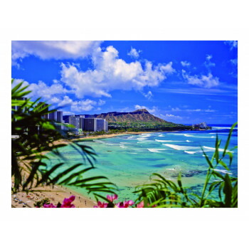 楽天市場】ダイアモンドヘッド 絵画の通販