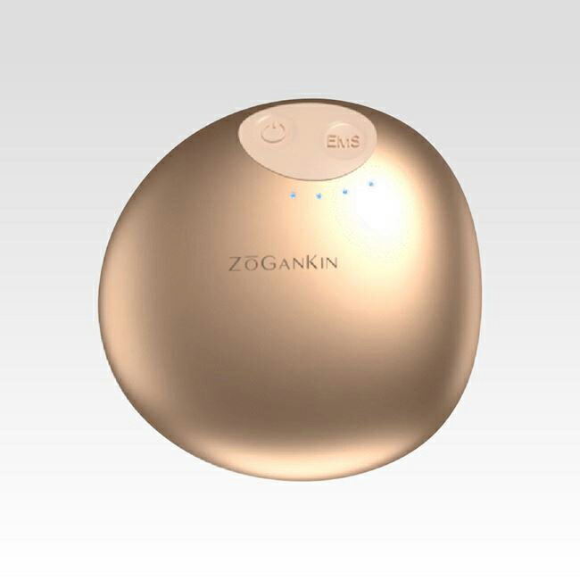 楽天市場】【即納します】ZOGANKIN スカルプ CL-ZKS ゾーガンキン