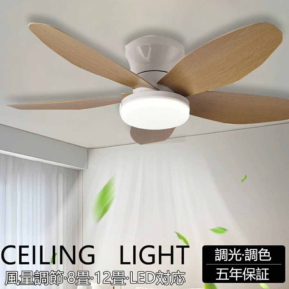 逆回転 ファン」の人気商品一覧 | 安い商品を通販サイトから探す