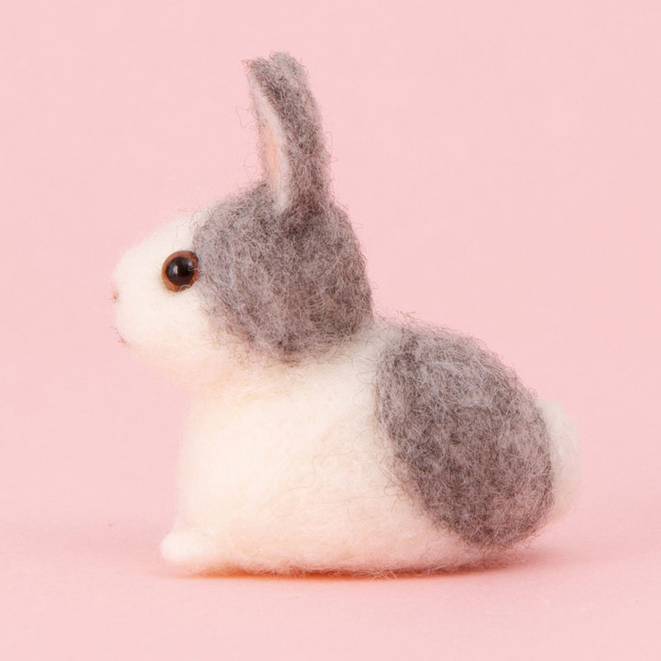 楽天市場】アクレーヌスターターセット付き 赤ちゃんウサギ 手作り