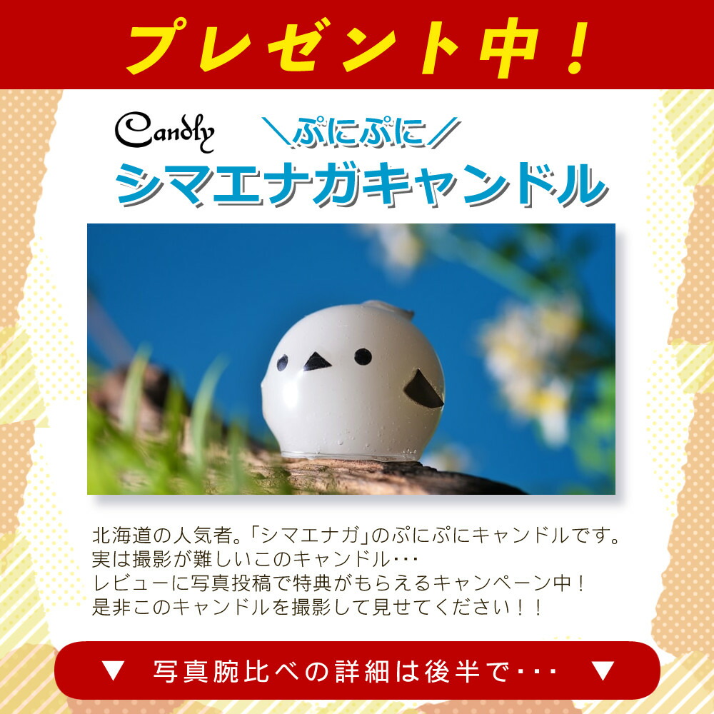 楽天市場】【レンズ保護フィルター付】タムロン 28-200mm F/2.8-5.6 Di