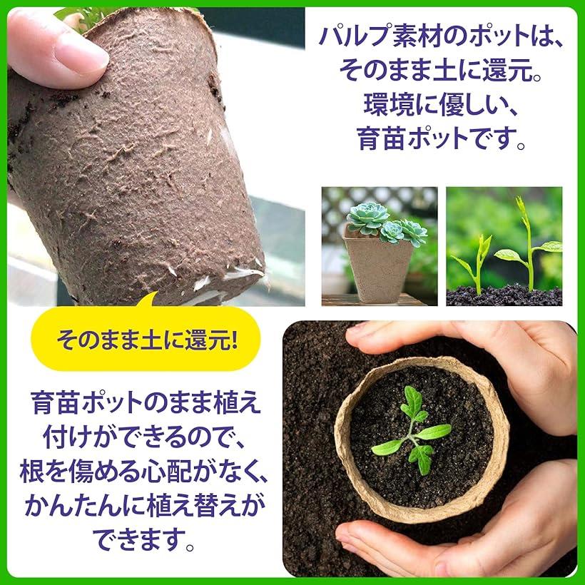 楽天市場】【楽天ランキング1位入賞】育苗ポット 紙植木鉢 紙パルプ