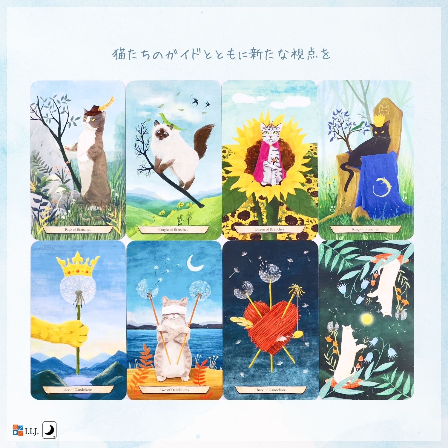 楽天市場】エンチャンテッド・フォレスト・フィーライン・タロット