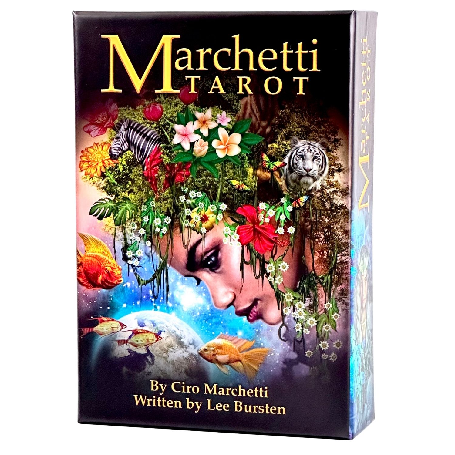 楽天市場】マルケッティ・タロット Marchetti Tarot タロットカード
