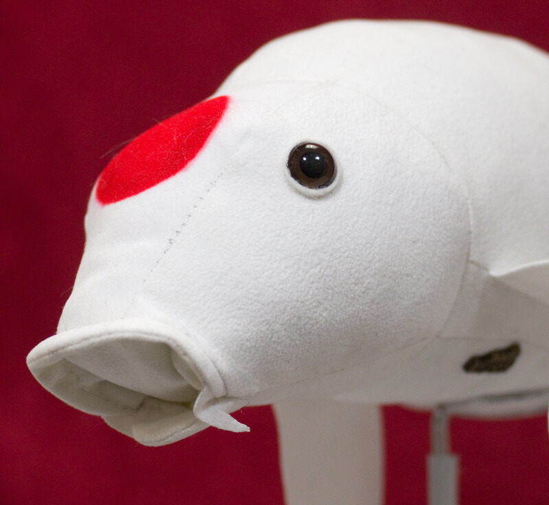 楽天市場】ケーセン ぬいぐるみ kosen 鯉 コイ 38cm Koi Fish リアル