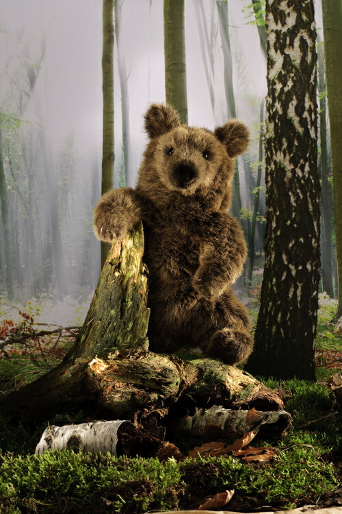 楽天市場】ケーセン ぬいぐるみ kosen ソフトブラウンベア（小） 38cm