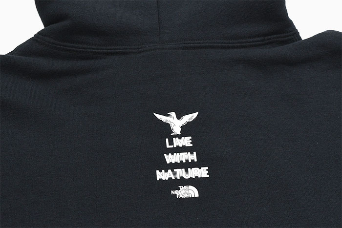 楽天市場】ザ・ノース・フェイス THE NORTH FACE パーカー プル