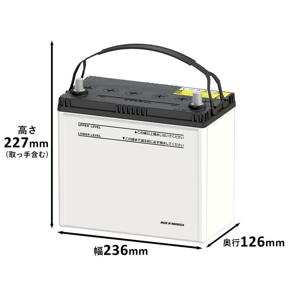 楽天市場】【当選確率1/2！最大100%ポイントバック 3/1~】 55B24L カー
