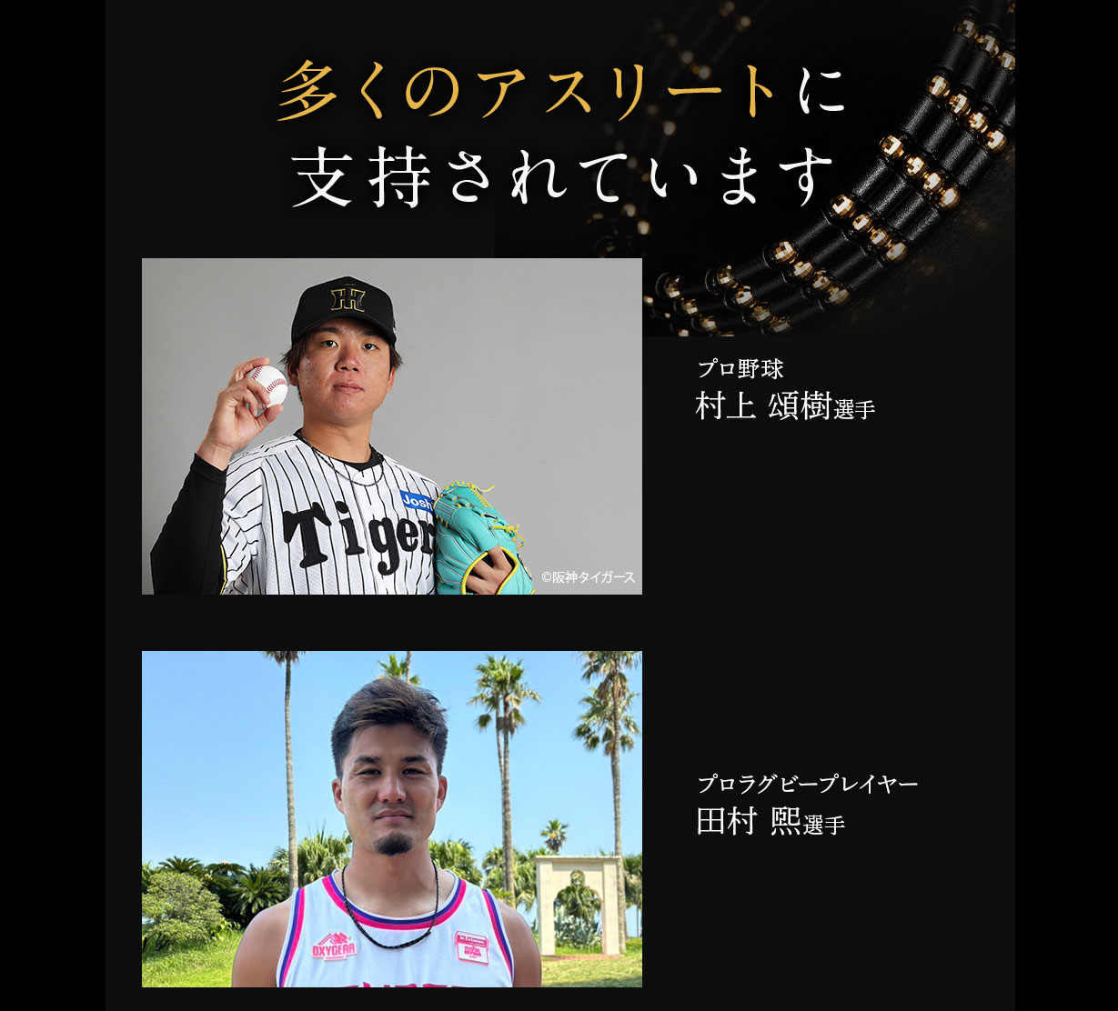 楽天市場】【メーカー1年保証】 コアフォースネック プロ ブラック