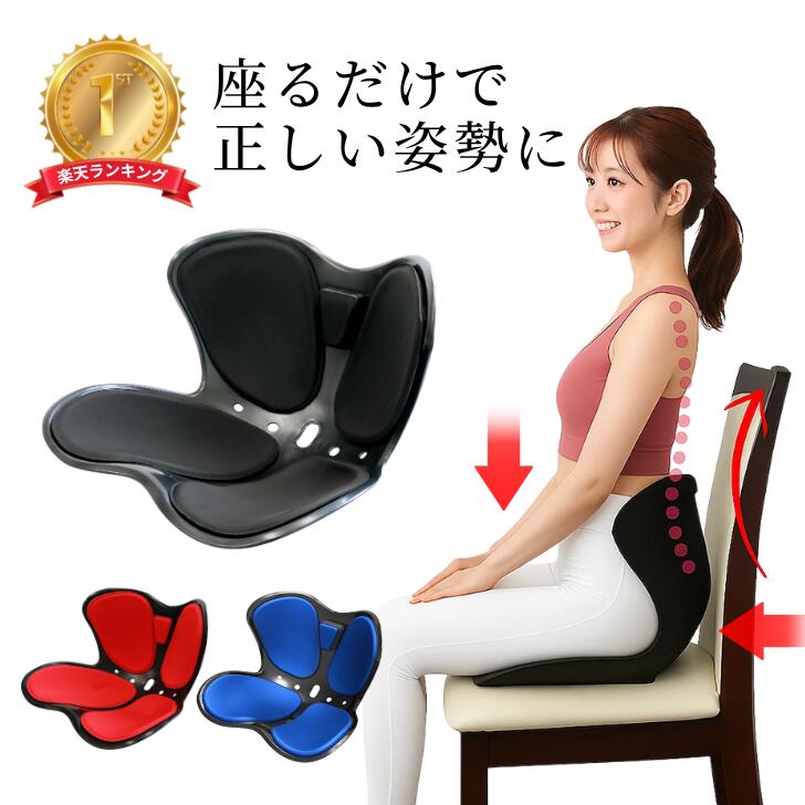 楽天市場】椅子 スタイルスマート style smart クッション 姿勢の通販